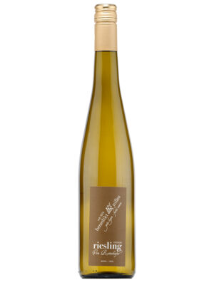 Riesling vom Rotschiefer <i>Feinherb 2025er Pündericher Marienburg</i>