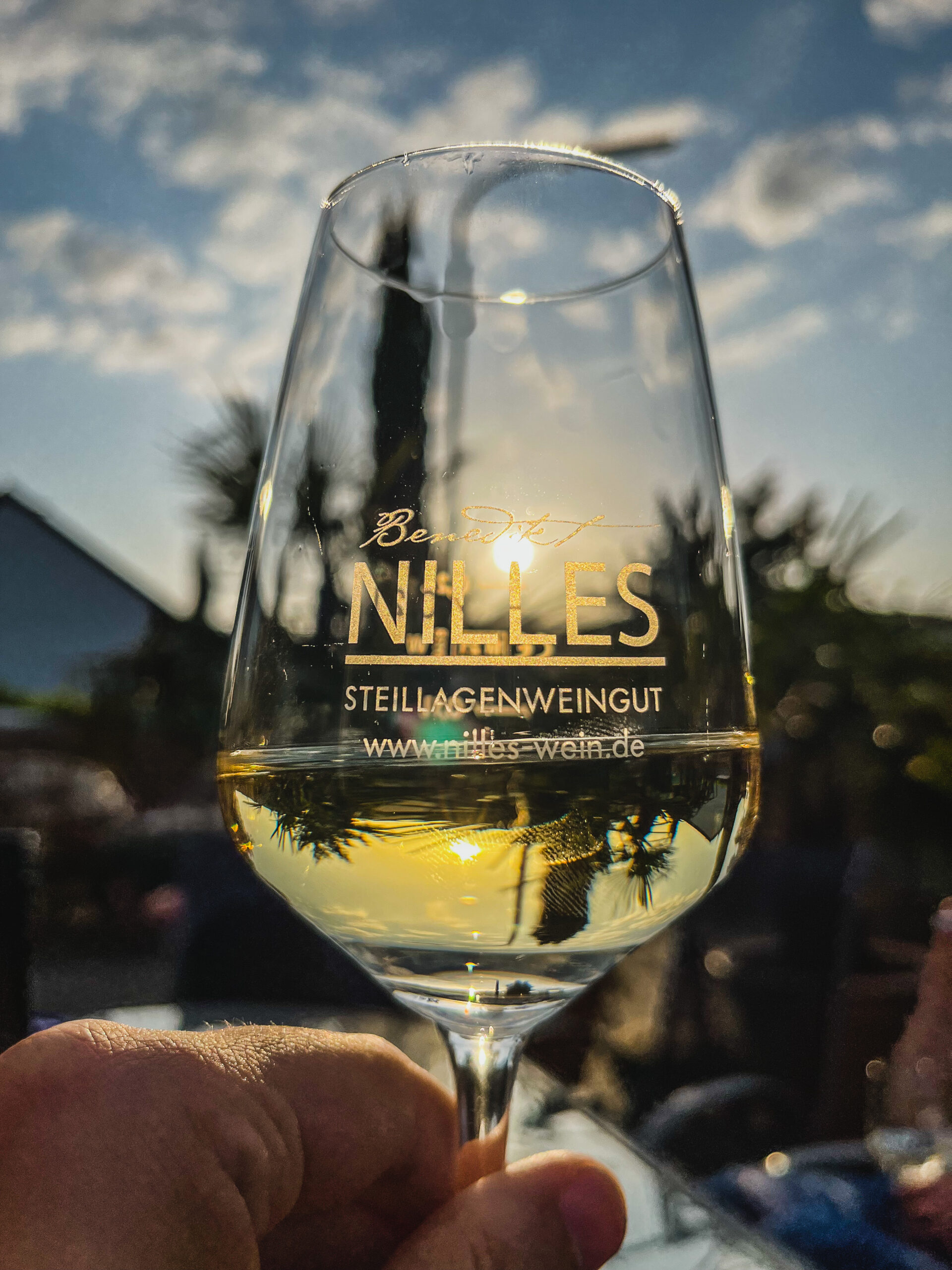 Riesling am rothen Pfad <i>Trocken 2025er Pündericher Marienburg</i>